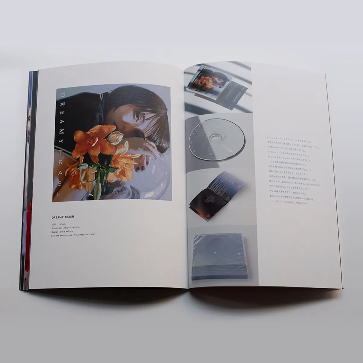 Statement book for "BUTTERFLY EFFECT"