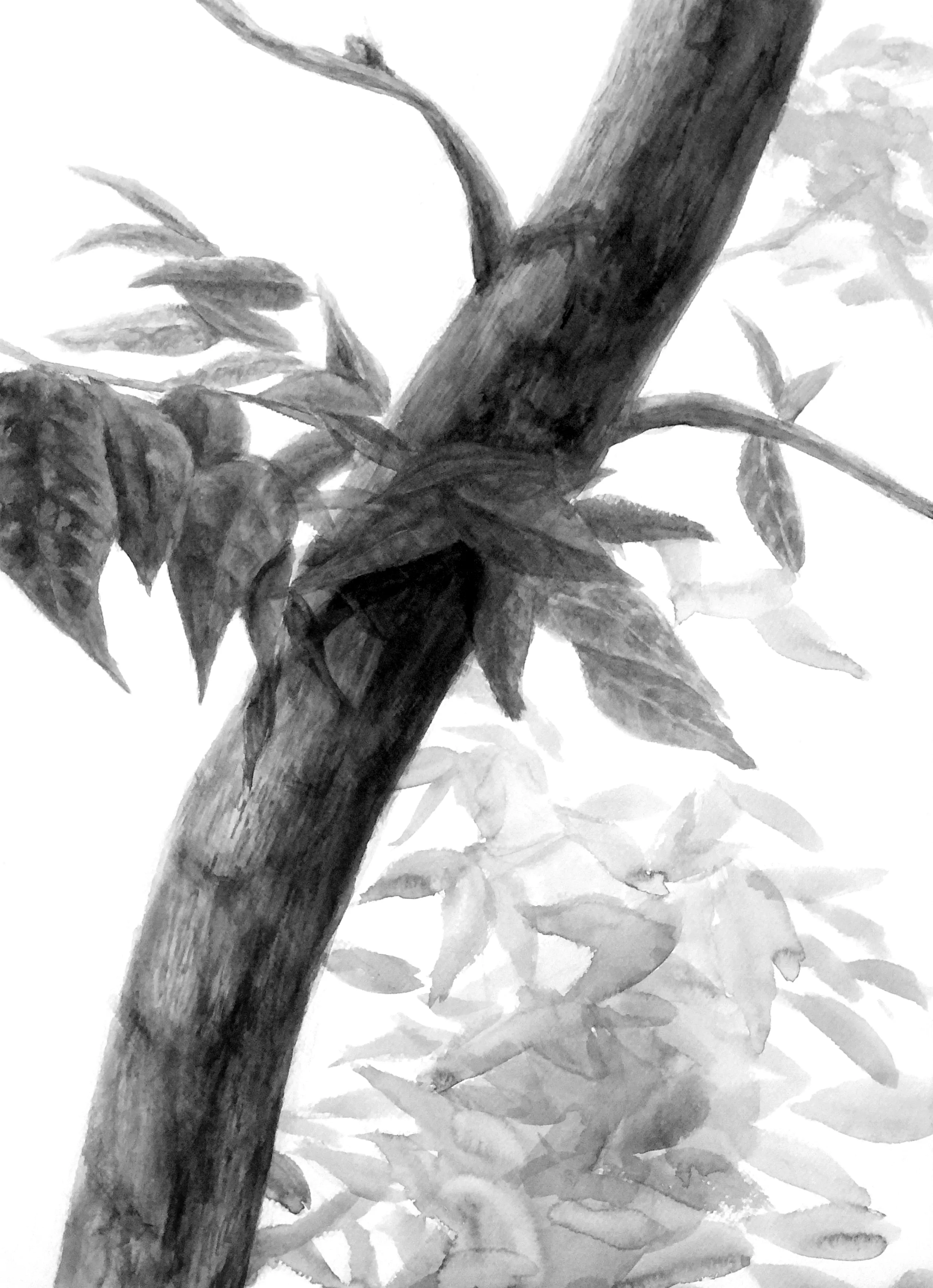 draw-works